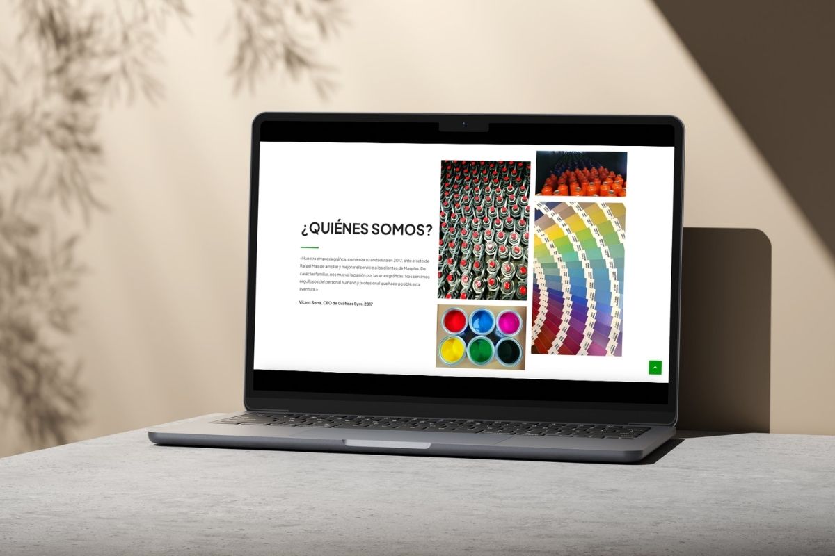 Diseño_Web_Masplas (3)